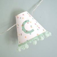Personalised pom pom fairy lights in green