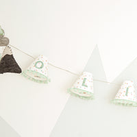 Personalised pom pom fairy lights in green