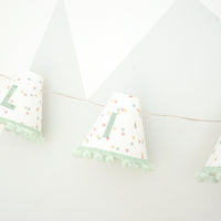 Personalised pom pom fairy lights in green