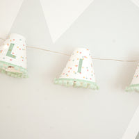 Personalised pom pom fairy lights in green