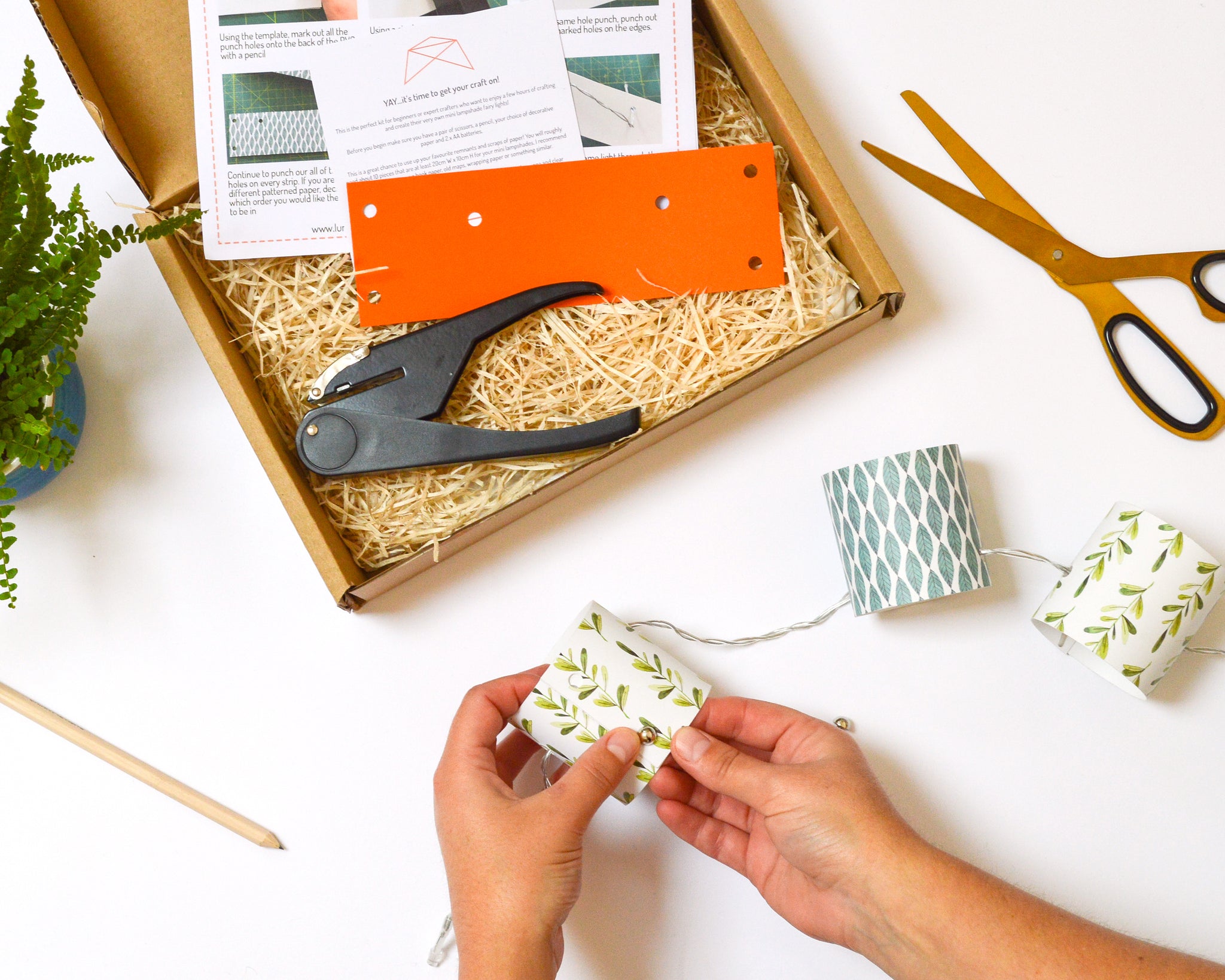 Fairy Light Making Kit – lumelighting